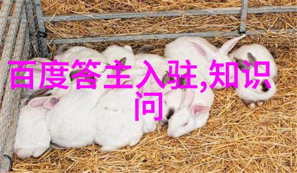 探秘蚂蚁庄园之谜解析2月2日答题答案背后的智慧
