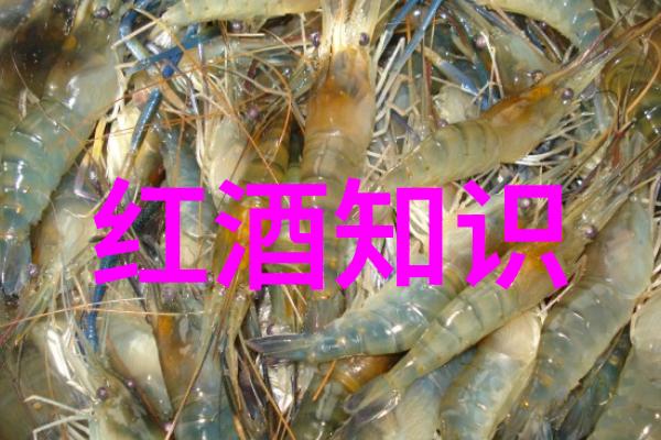 什么是上海周边地区的房价最低城市