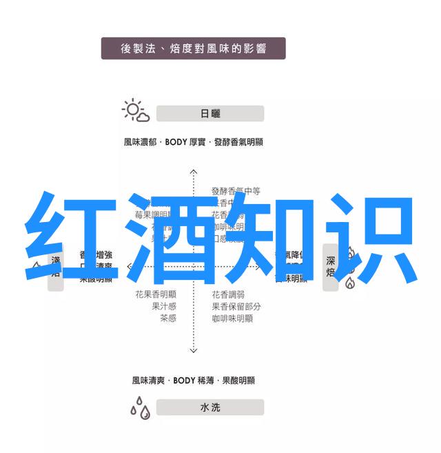 藏书之谜一位收藏家的秘密小说世界