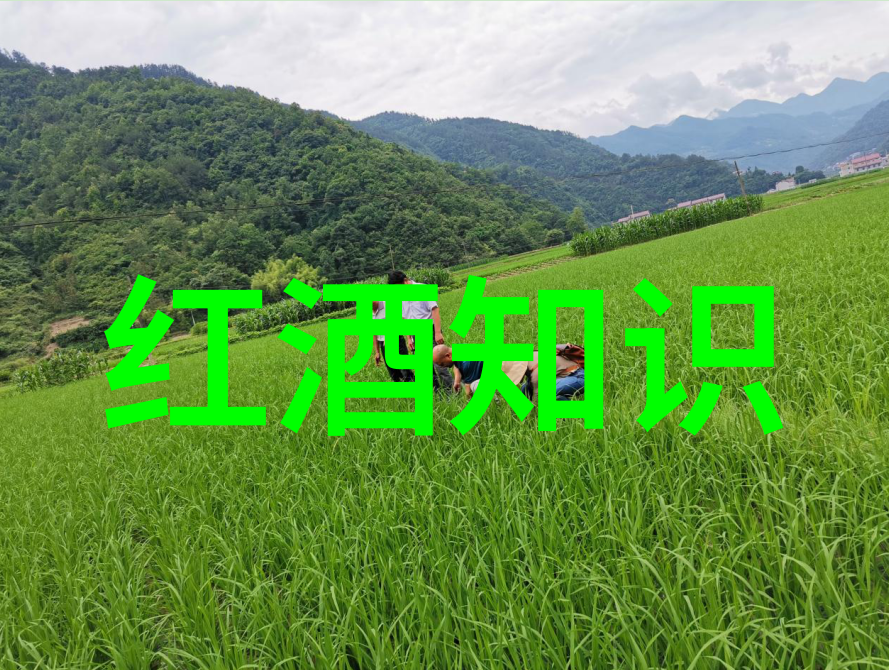 如何将女孩的可爱形象通过画布上的线条和色彩传达出来