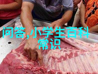 动漫艺术入门指南男生学习者一步步掌握绘画技巧