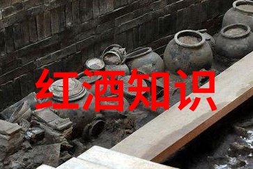 为了更美好的明天未来展望如何让双方携手共创可持续发展模式
