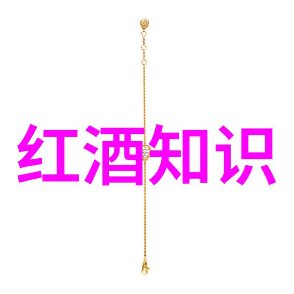 法国的文化魅力绚丽多彩的艺术与古典美学