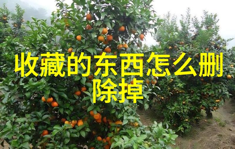 品味法国葡萄酒深度探索五大产区的葡萄与酿造艺术