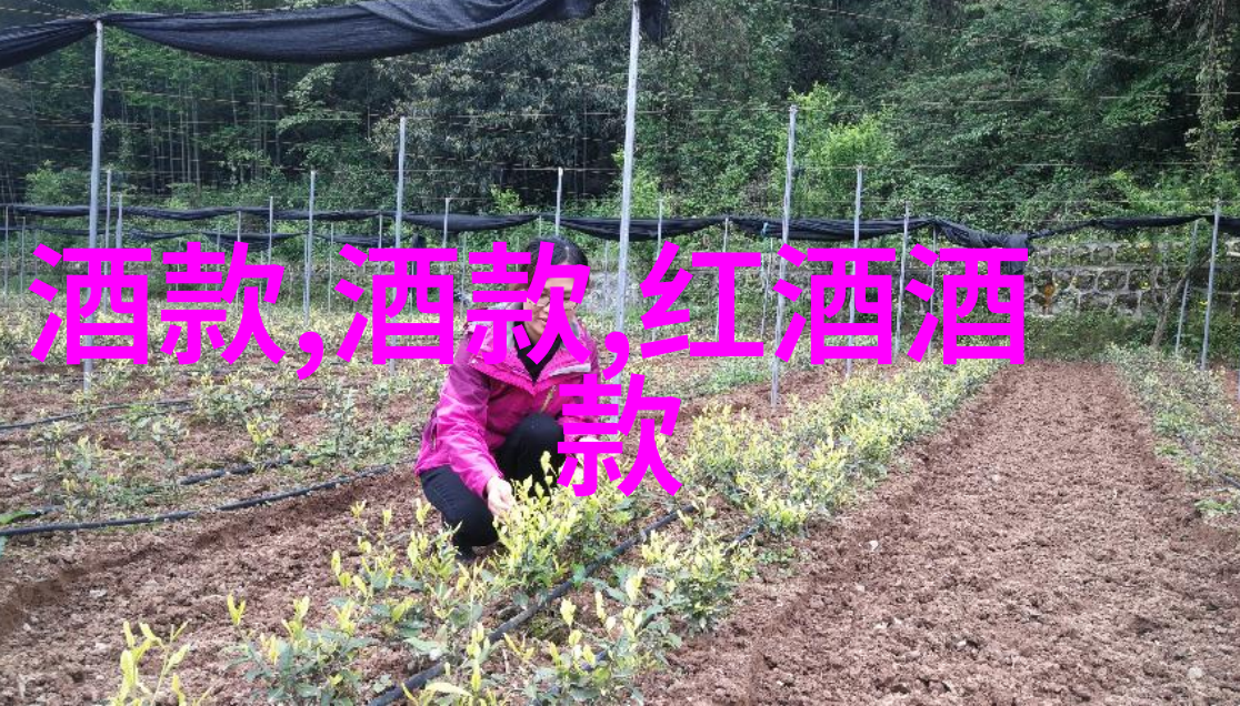 艺术之韵油画的收藏与传承