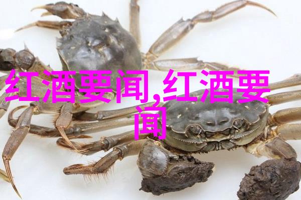 穿梭于千万故事中的女配大佬如何在快穿世界中塑造无人能敌的形象