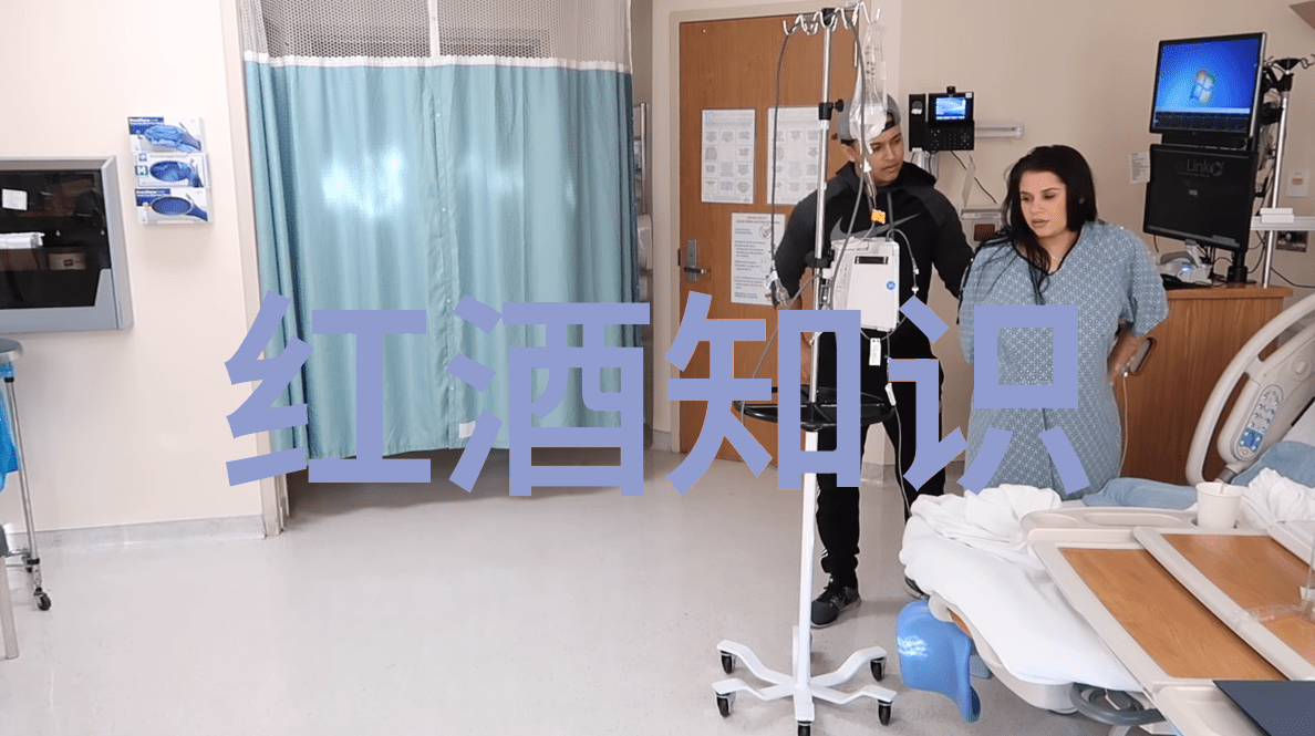 中国红酒产地探秘揭秘最佳葡萄种植区