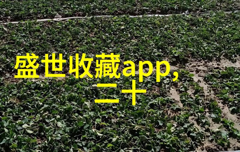 探秘沪地上海周边游推荐两日游行程