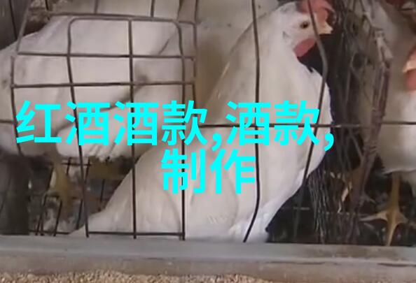 视觉盛宴 猫咪图片大全背后的设计理念