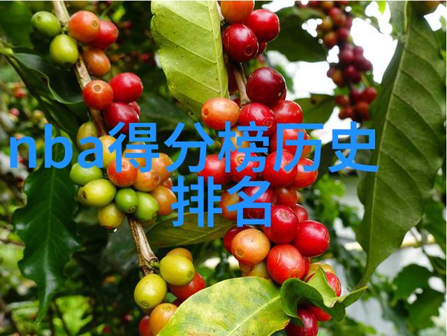 猫咪宝贝各种可爱猫种的分类与特点