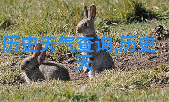 陕西粮食主产区在哪里-黄土高原上的金子探索陕西粮食主产区的秘密