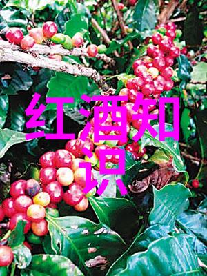 从激情的起点到历史的印记12.9运动背后的故事与意义