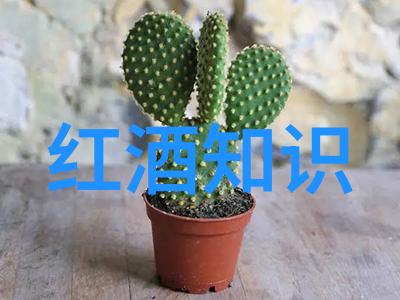 我爱收藏我的小心脏在每一件珍贵的宝物中跳跃