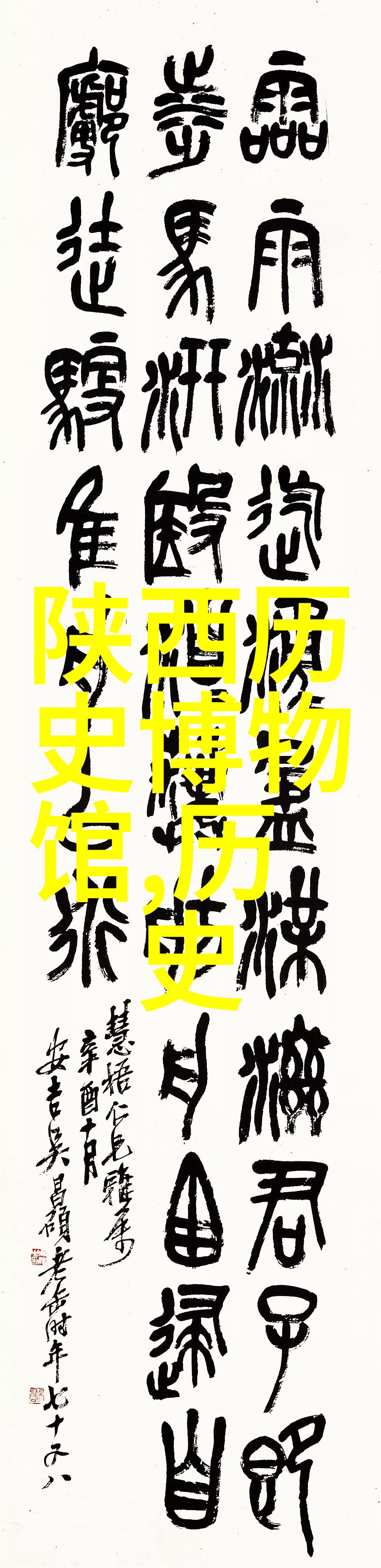 云南七彩普洱茶品味大地的丰饶与艺术