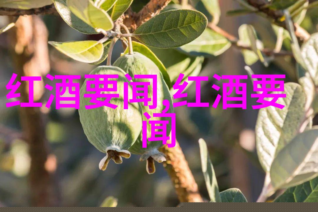 玫瑰花品种精选香气迷人色彩斑斓的多样化玫瑰