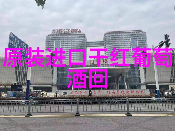 探索猫咪世界多种颜色形态的宠物宝贝