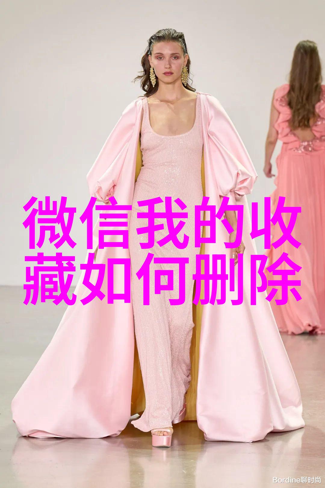 猫咪品种-探索猫界的多样性揭秘世界上最受欢迎的猫咪品种