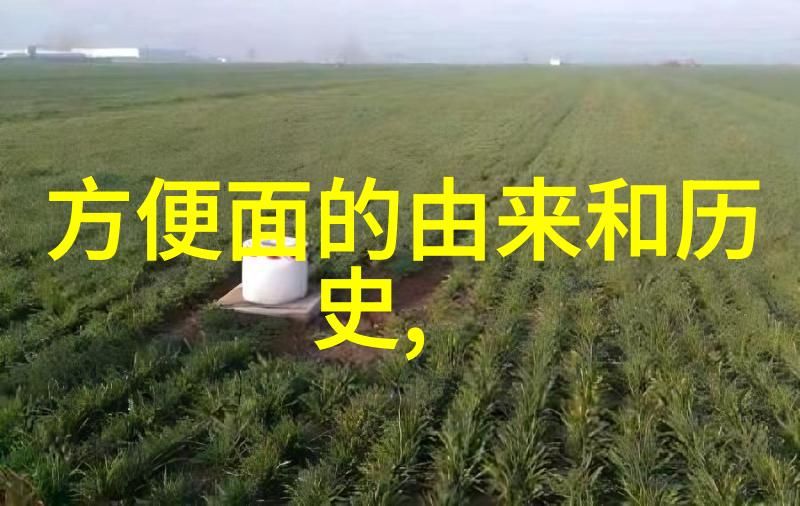 农村深处的古董宝藏一件罕见珍品的奇遇