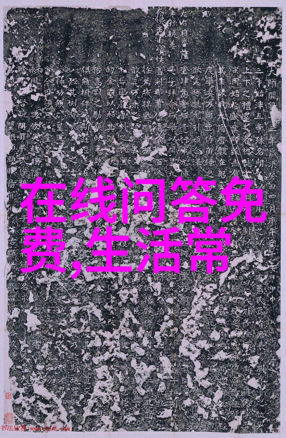 葡萄园里的醉心一场红酒的诞生