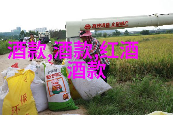 世界葡萄产区主要分布在探索阿尔萨斯的美丽风光与佳酿故事