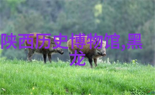 红酒资讯网我是怎么发现那瓶百年老酒的秘密的
