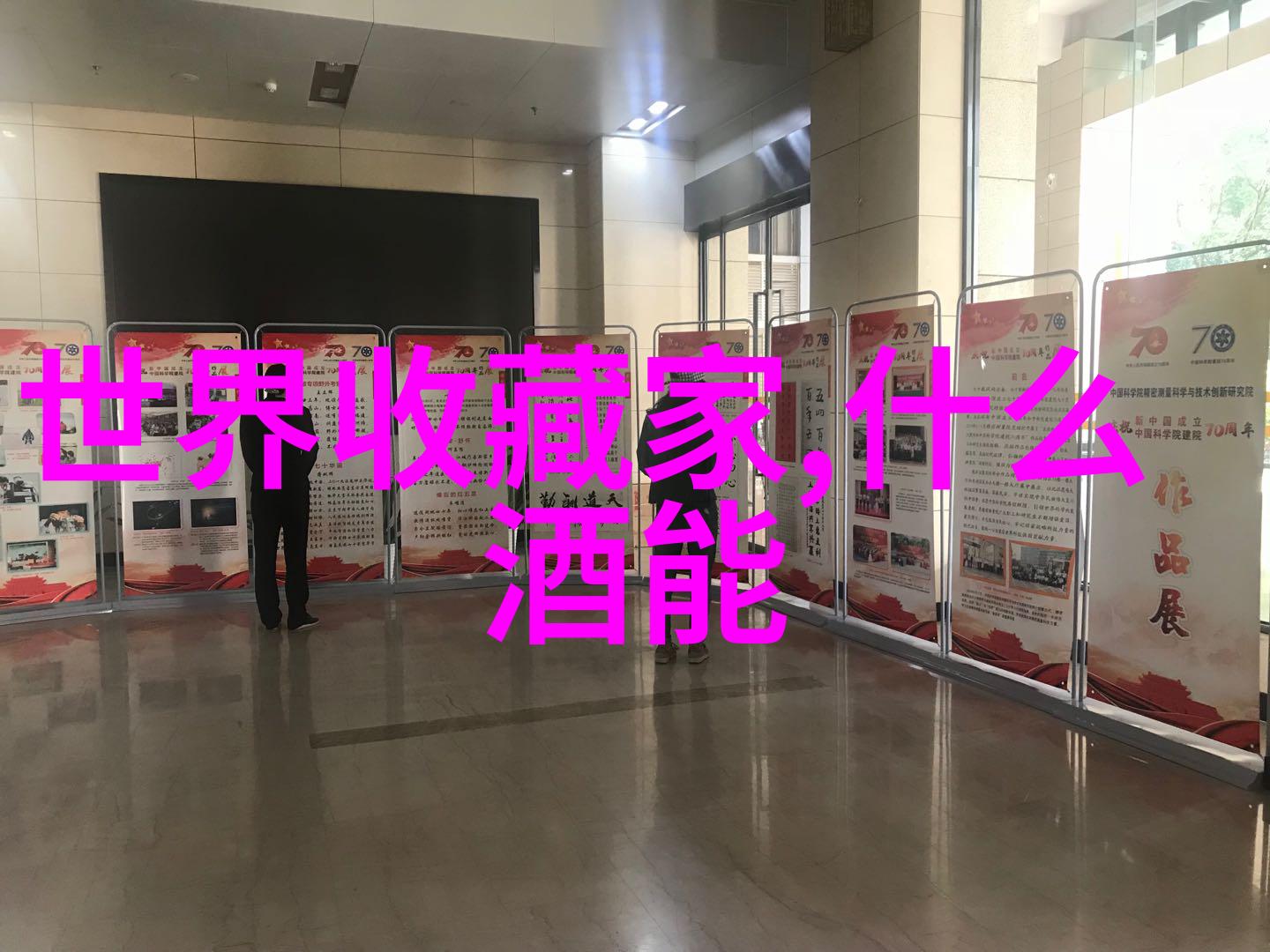 阿尔萨斯葡萄园世界葡萄酒产区分布图中的风情之地