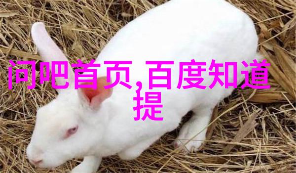 WBO专访UGCB新任主席罗南拉博尔特精美人物图片高清展示领导风采不担心波尔多在中国市场销量暂时波动