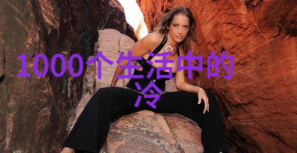 中国收藏网下载指南