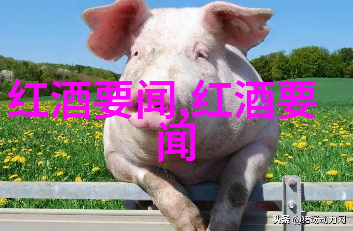中国豪门梦幻府邸奢华生活的极致体验