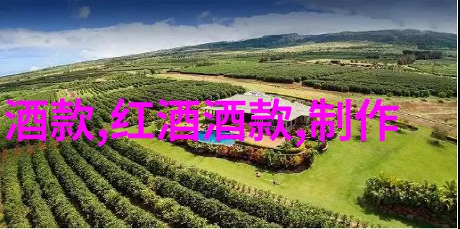 从同事到伙伴应用360度反馈增强团队凝聚力