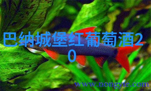 贵州粮食之乡丰收的土地与勤劳的手
