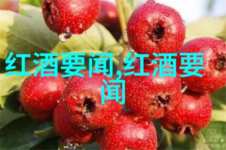 2017赤霞珠干红葡萄酒品鉴深邃色彩醇厚口感的新世纪佳酿