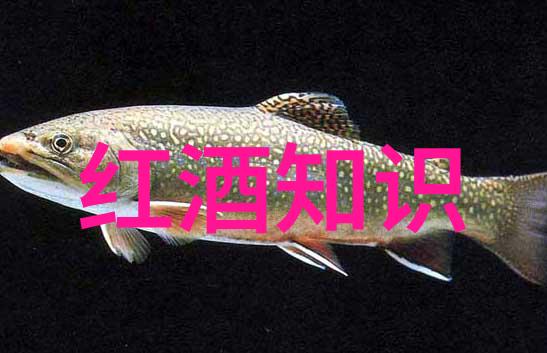 问答题库网站登录系统优化与安全保障策略研究