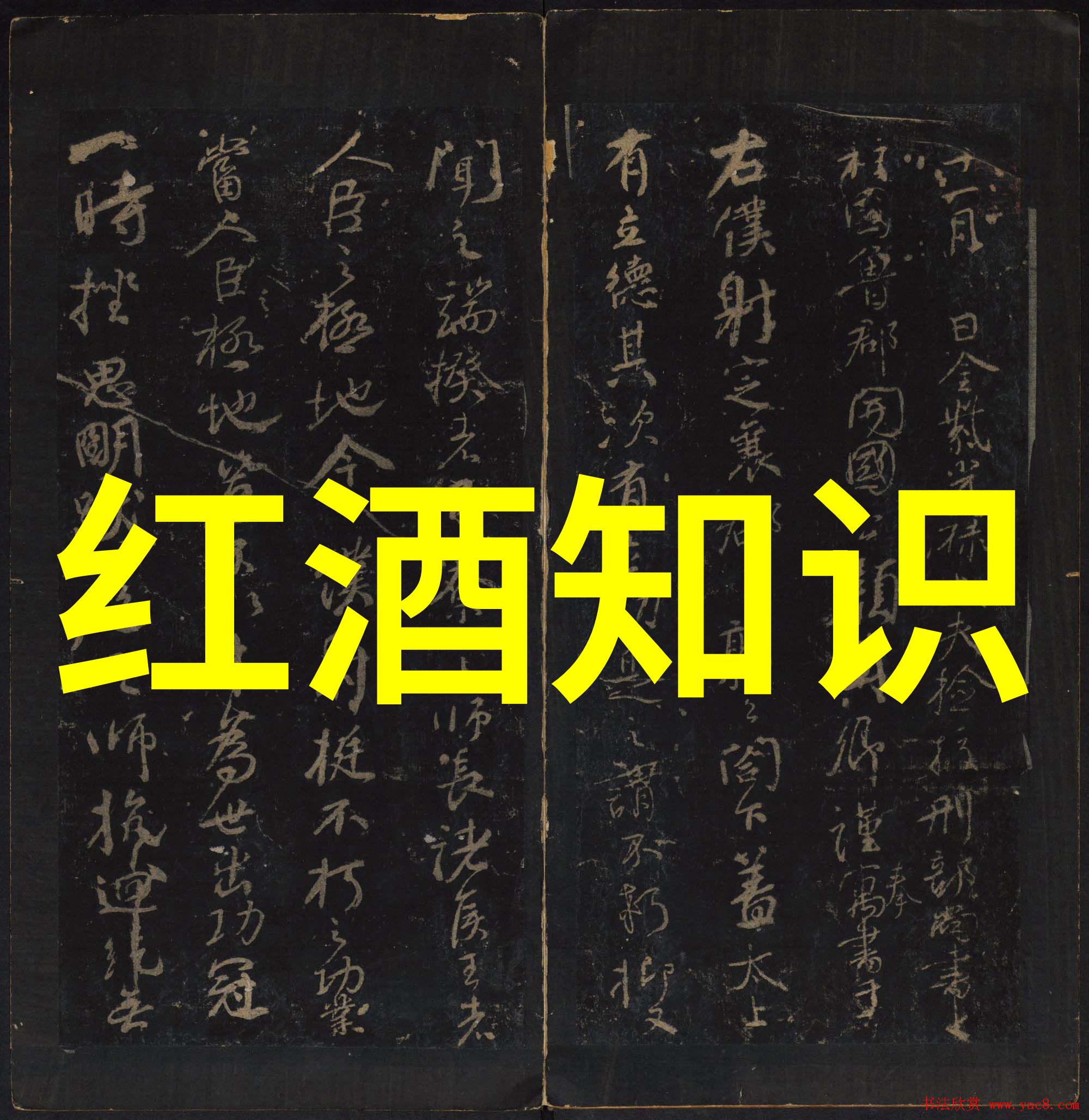 92号汽油历史最低油价-追溯时空揭秘92号汽油价格的历史低谷