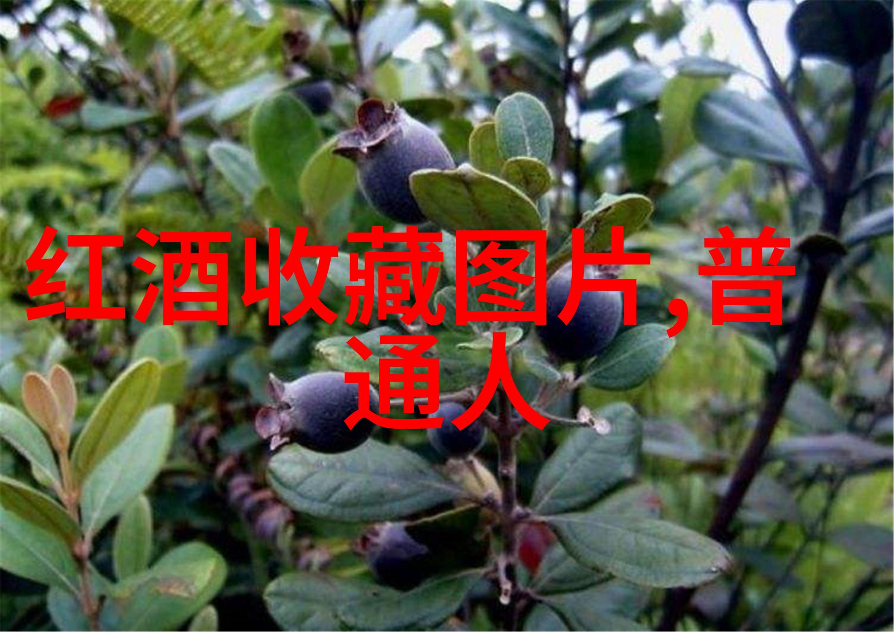 古今长河梁山好汉的英雄故事