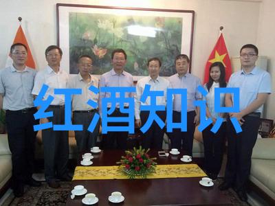 浪漫庄园游戏频繁崩溃背后的可能原因与解决方法探究