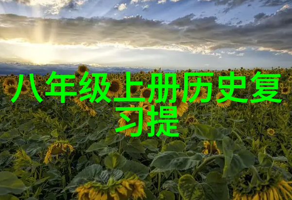 花卉知识-探索玫瑰花园揭秘众多品种的魅力