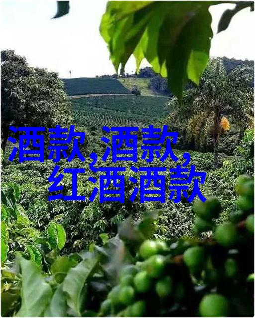 农村烧柴酿酒传统与现代技术的融合