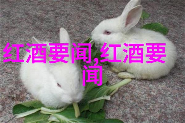 历史播放过的视频那些被遗忘的画面曾经讲述了什么故事