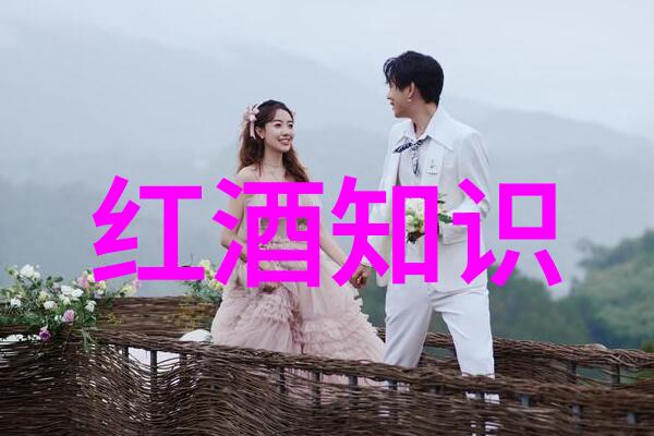定投之旅300元月光下的丰厚收获