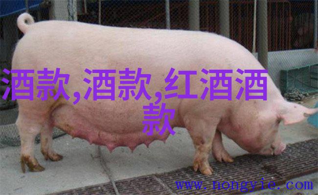 玉子豆腐至今考察在中国历史上的特殊用途玉米品种