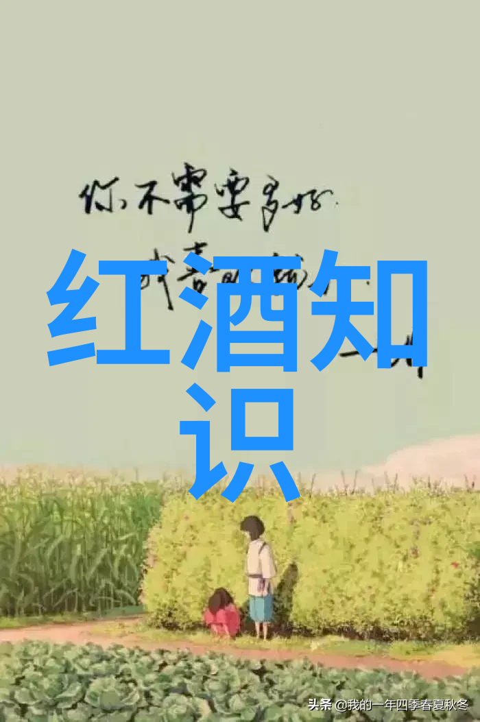 哪一朵玫瑰花品种最能触动心灵的深处