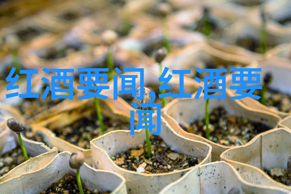 玉米种子最好的品种排行榜-碧玉丰收全球最佳玉米品种的精选