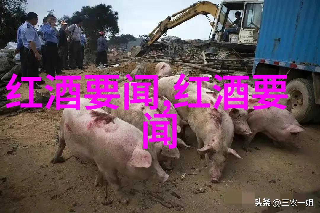 开胃酒是什么酒开胃酒英文