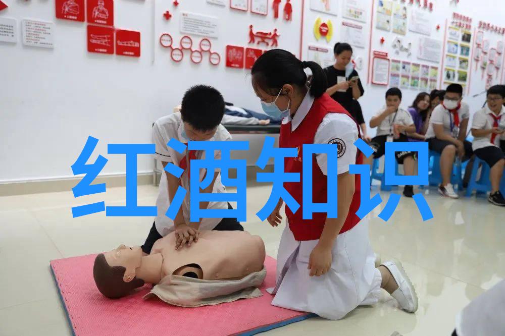 猫与人类同行者跨越时空的友谊故事与其它关于它们的一切信息图像回顾录影资料等等