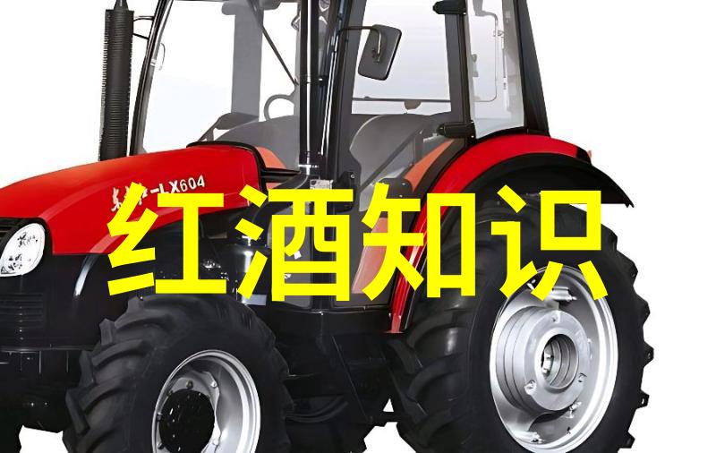炮灰的撒娇之美命运的温柔抚慰