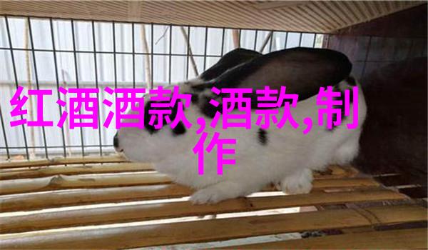 不仅仅是简单缩小Q版动漫角色设计的心得总结