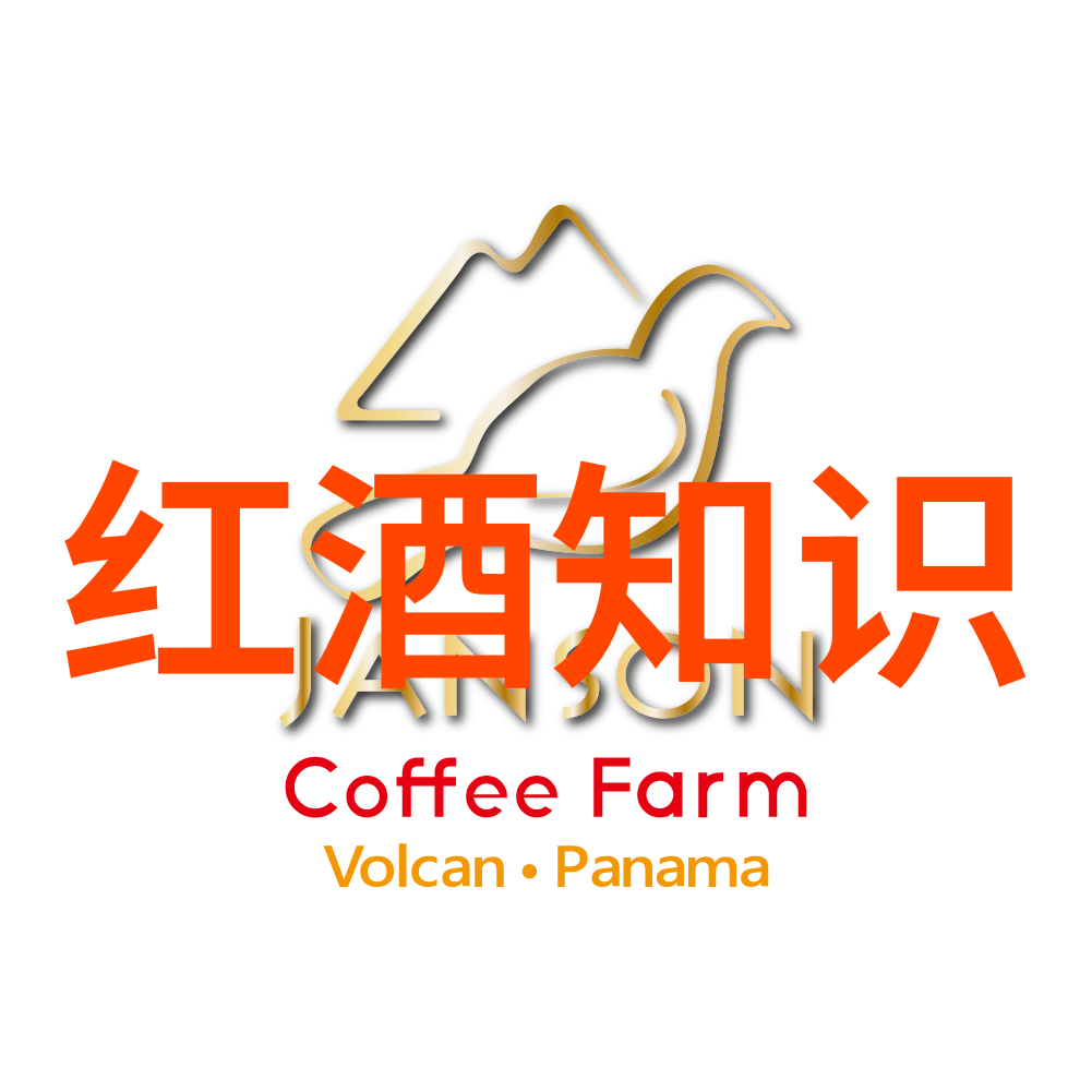 上海周边自驾探秘沿海古镇与现代都市的交响曲
