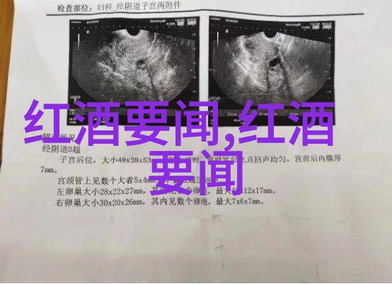 古都瑰宝探秘圆明园的辉煌与衰落