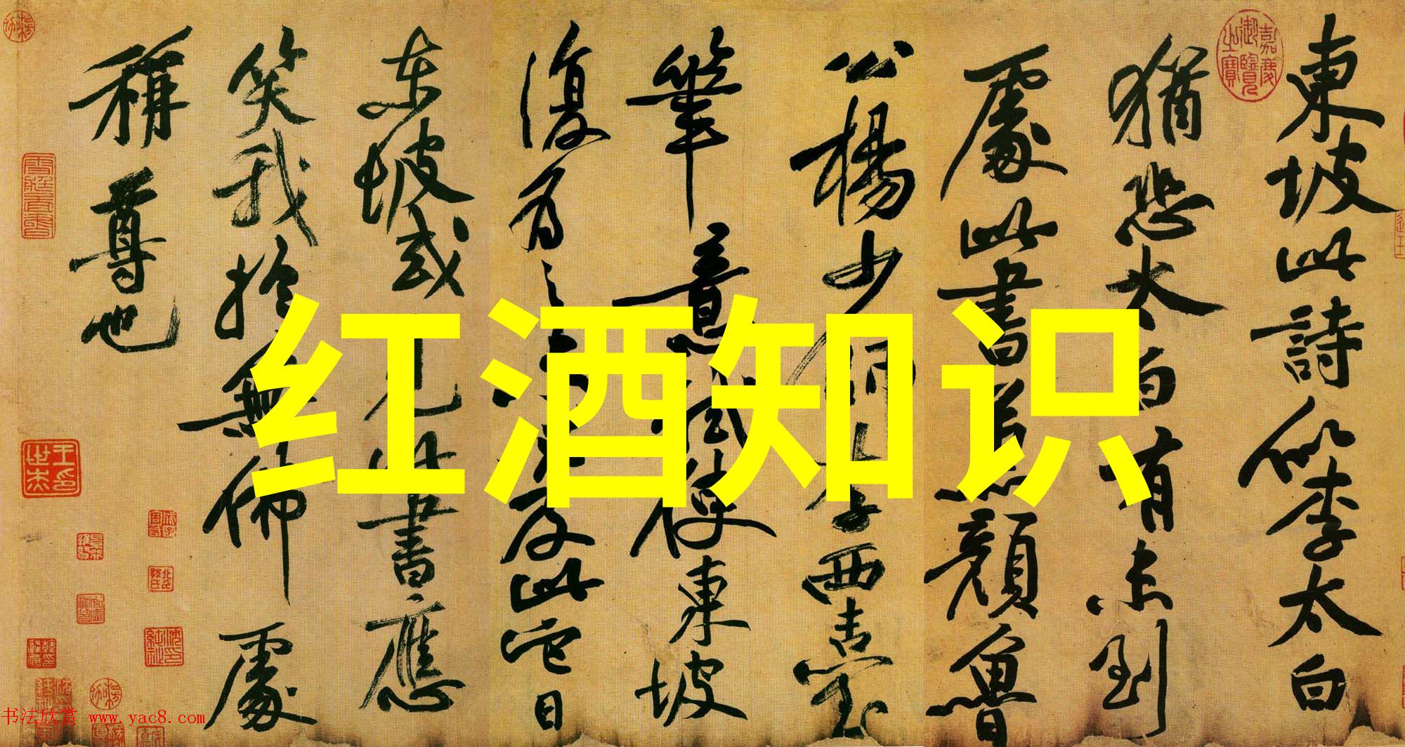 白玫瑰庄园南星山 - 莱托里酒庄